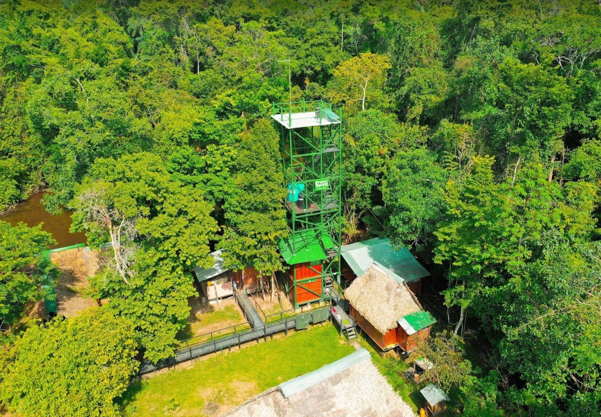 Birdwatching in Cuyabeno
