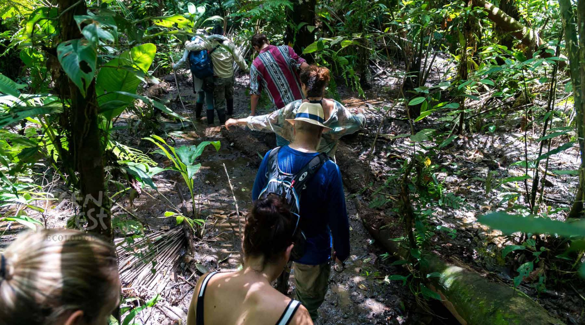Guided jungle walk in Cuyabeno